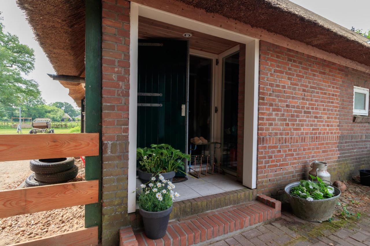 Ferienwohnung Het Grote Paard Havelte Exterior foto