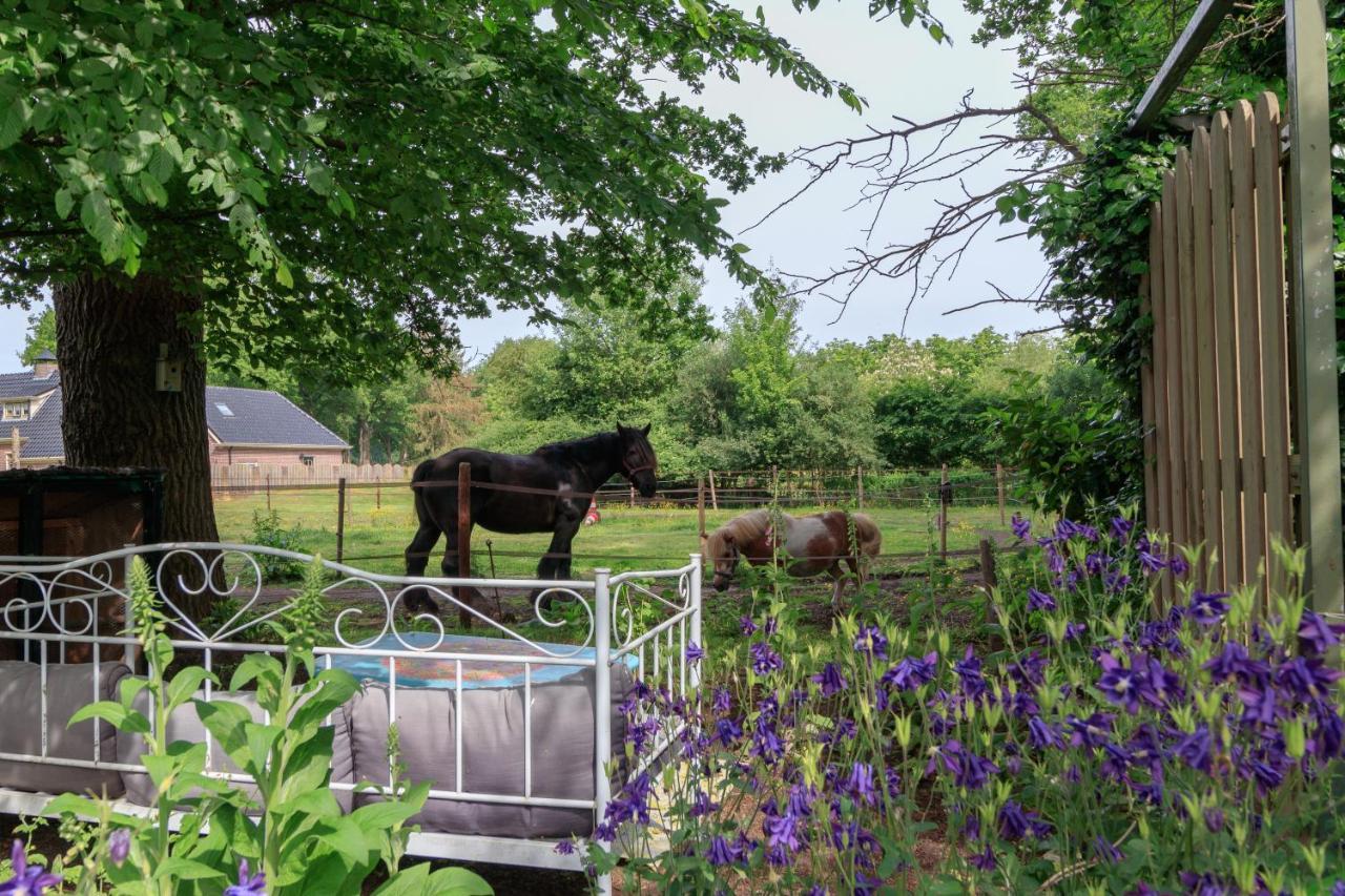 Ferienwohnung Het Grote Paard Havelte Exterior foto