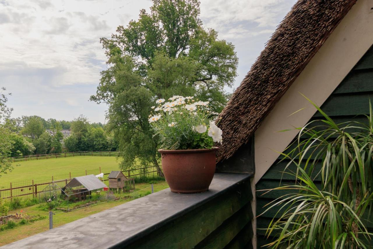 Ferienwohnung Het Grote Paard Havelte Exterior foto